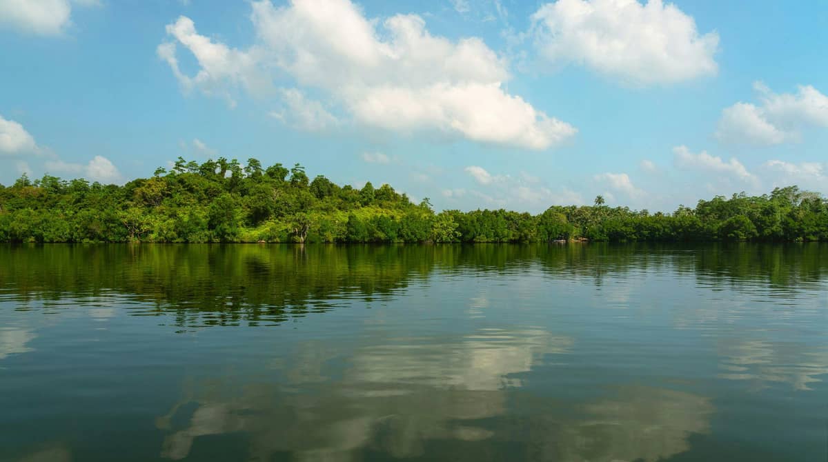 Â Day Trip to Jungle Beach or Koggala Lake